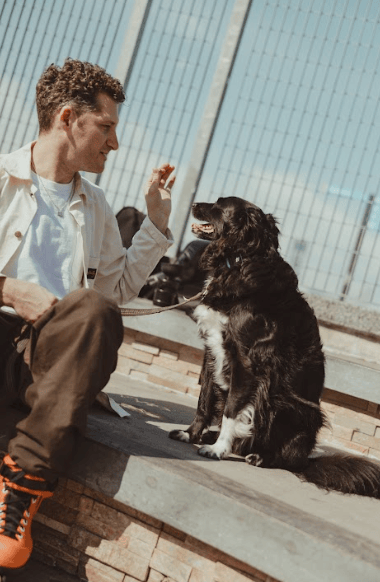 A man sitting on a stone surface, interacting with a black and white dog in a sunny outdoor setting.